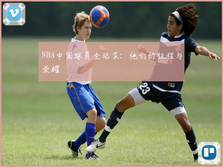 NBA中国球员全记录：他们的征程与荣耀