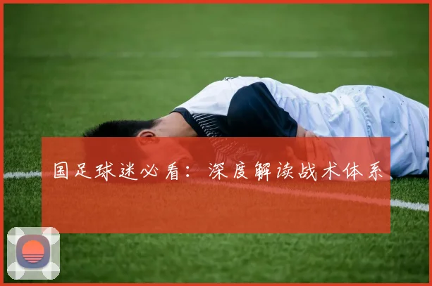 国足球迷必看：深度解读战术体系