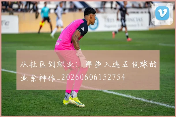 从社区到职业:那些入选五佳球的业余神作_20260606152754