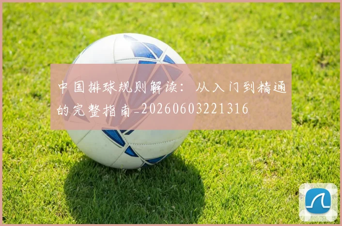 中国排球规则解读：从入门到精通的完整指南_20260603221316